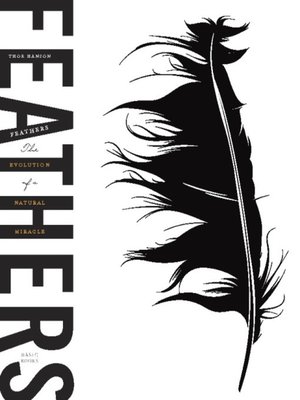 cover image of Feathers